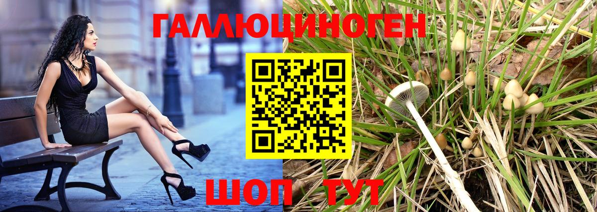 Краснодар  Псилоцибиновые грибы ЛСД  Вход с VPN 